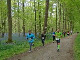 Hyacinten 2017 - 033.jpg